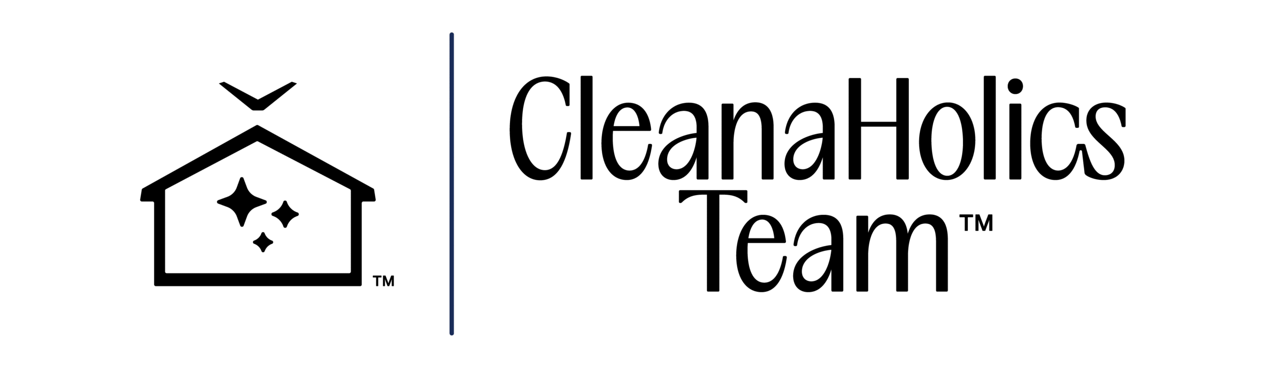cleanaholicsteam.com